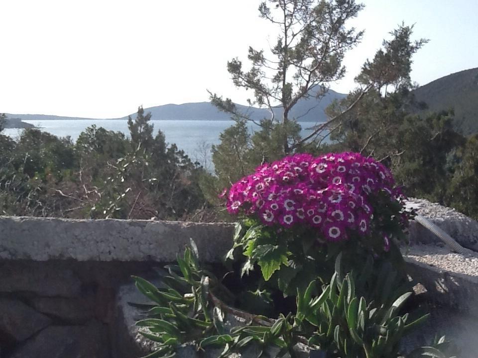 Villa Mirista Luštica Quarto foto
